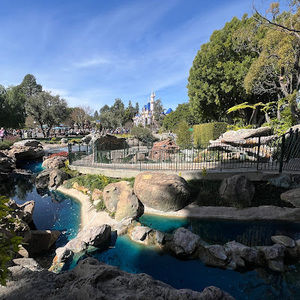 Meet your Posher, Rocky